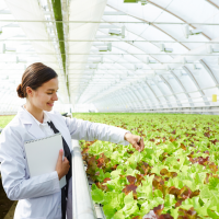 Agricultural Engineer