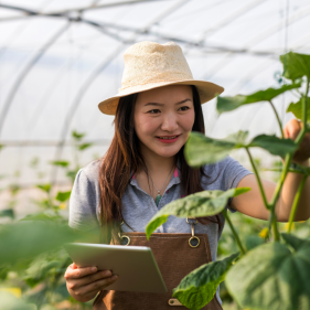 image for Agricultural Scientist