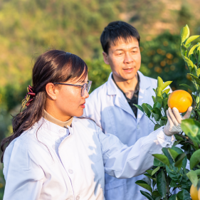 image for Agricultural Technician