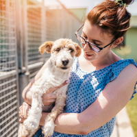 Animal Attendant - Animal Shelter