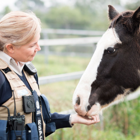 image for Animal Attendant