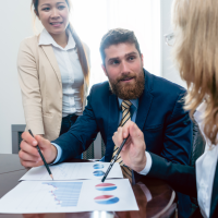 Business Systems Analyst