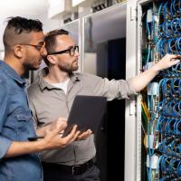 Computer Network Professional