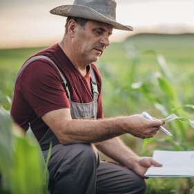 image for Crop Farmer