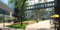 banner of Long Island University, Brooklyn - Study Group