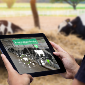 image for Livestock Farm Hand