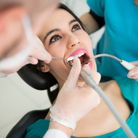 Oral Health Therapist