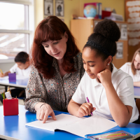 Primary School Teacher