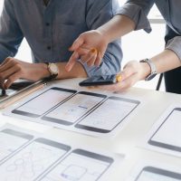 Software and Applications Programmer