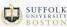 logo of Suffolk University - INTO USA