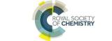 logo of The Royal Society of Chemistry