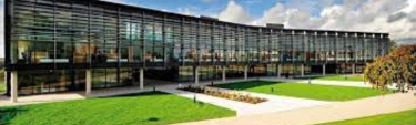 university