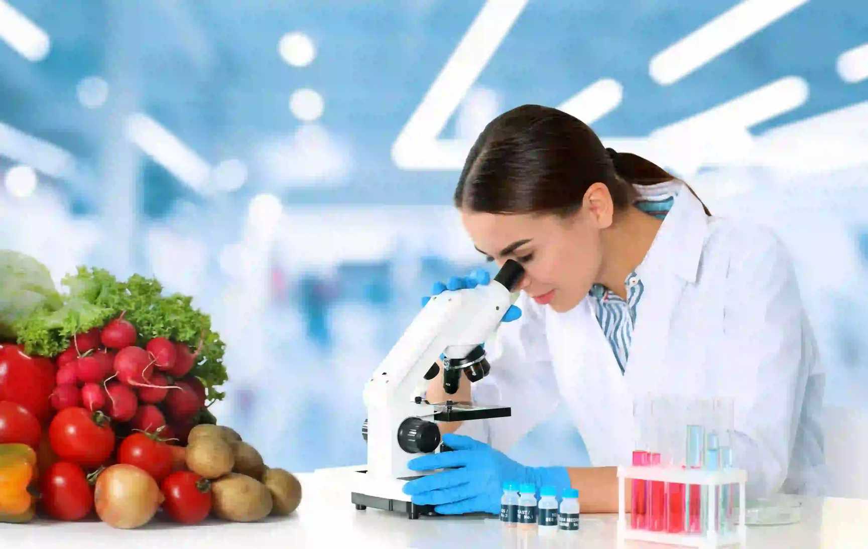 Top 10 Food Technology Courses to Study Abroad